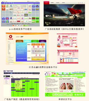 企业信息管理软件定制与信息系统运行维护服务 数字化转型的双轮驱动